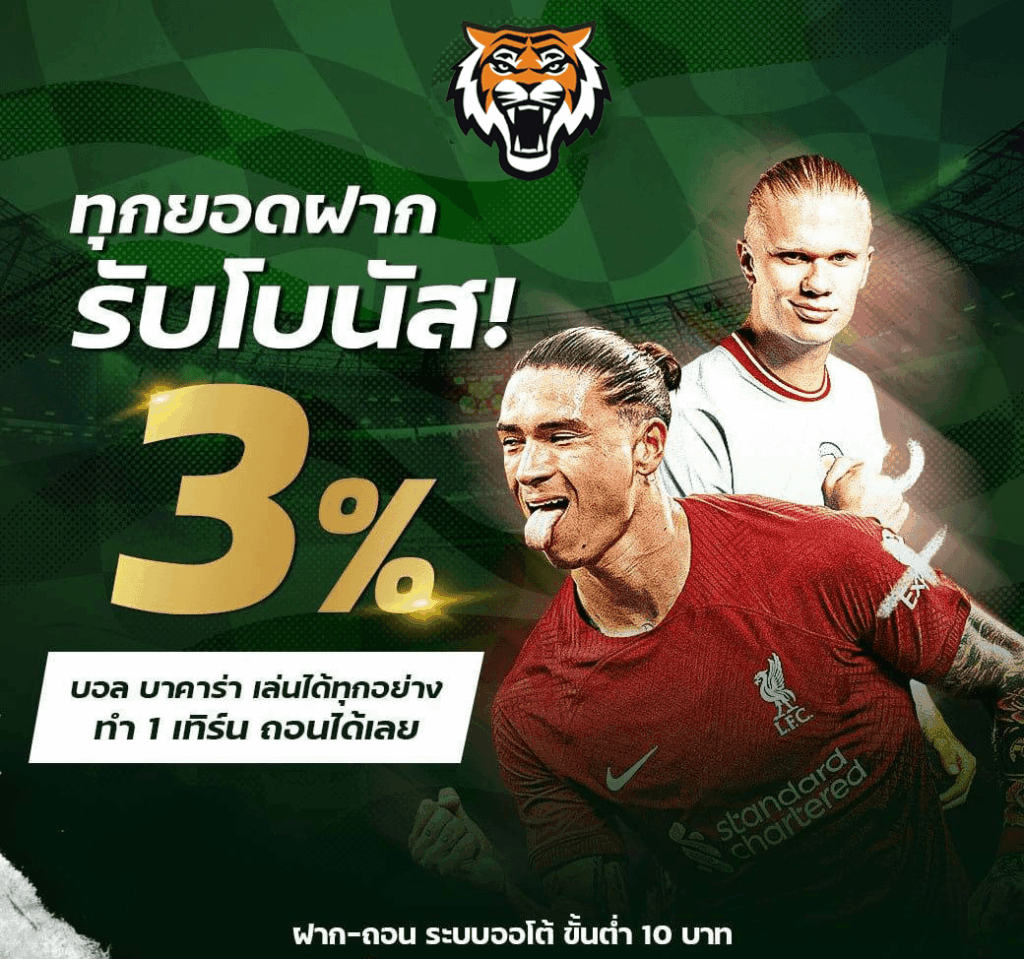 Tiger444 โปรโมชั่นล่าสุด